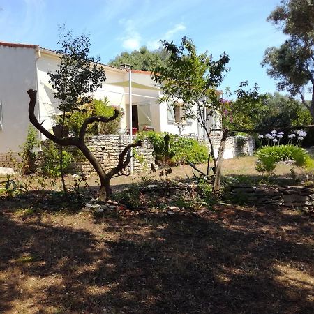 Bonifacio, Maison 90M² Sous Les Oliviers, Vue Sardaigne Бонифачо Экстерьер фото