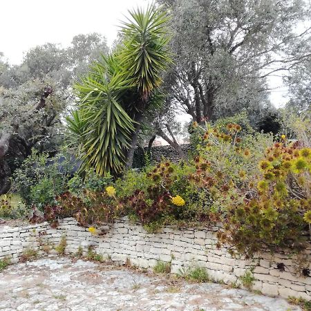 Bonifacio, Maison 90M² Sous Les Oliviers, Vue Sardaigne Бонифачо Экстерьер фото
