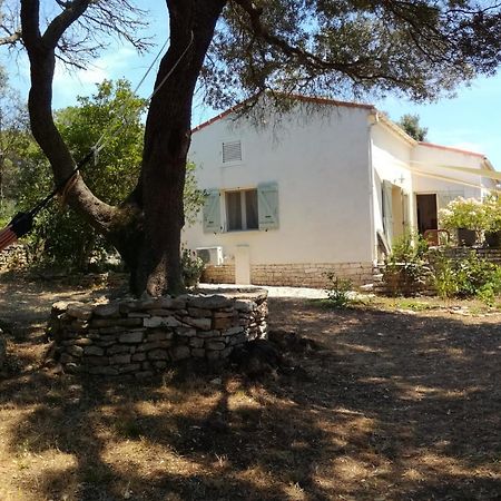 Bonifacio, Maison 90M² Sous Les Oliviers, Vue Sardaigne Бонифачо Экстерьер фото