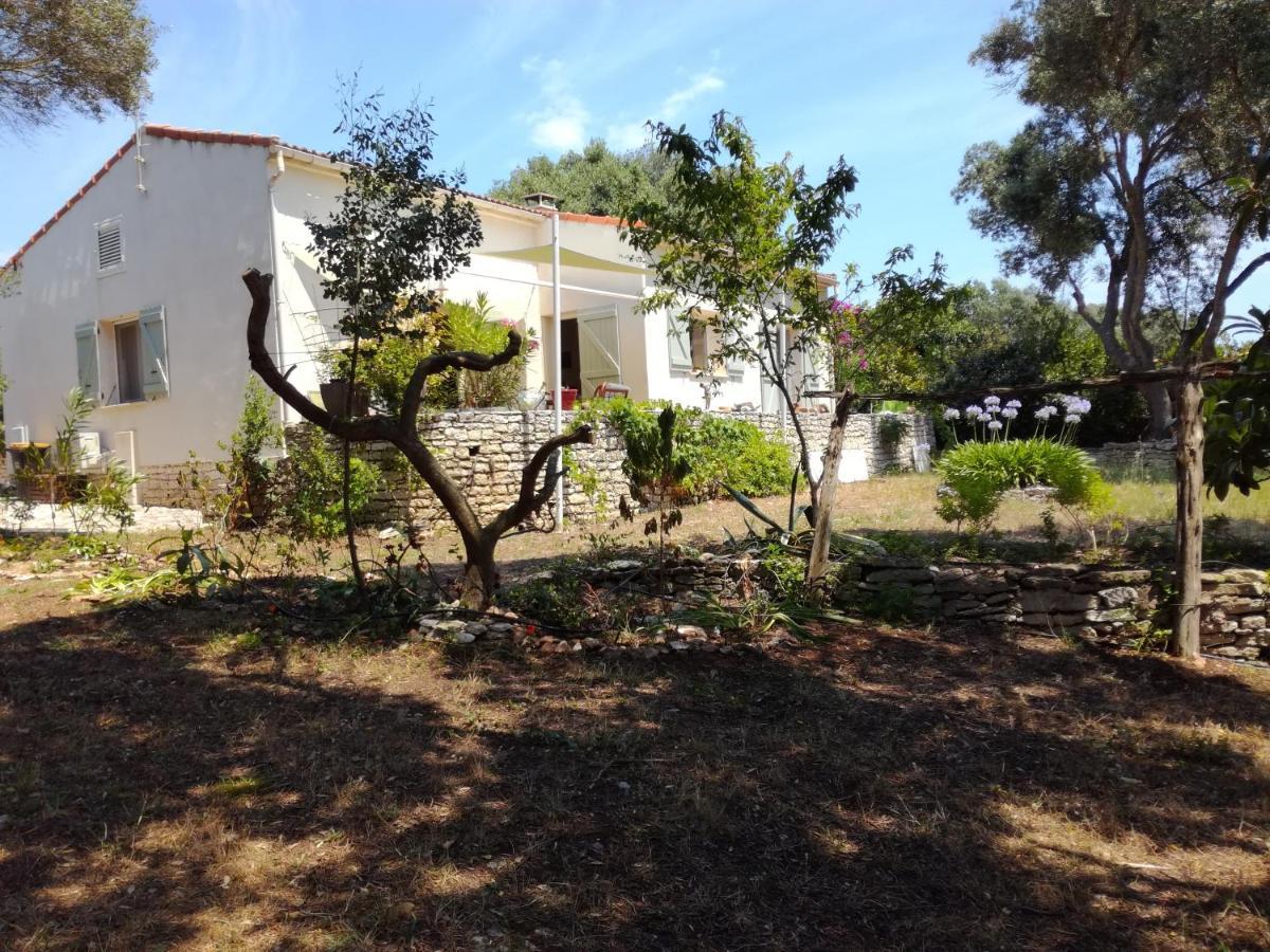 Bonifacio, Maison 90M² Sous Les Oliviers, Vue Sardaigne Бонифачо Экстерьер фото