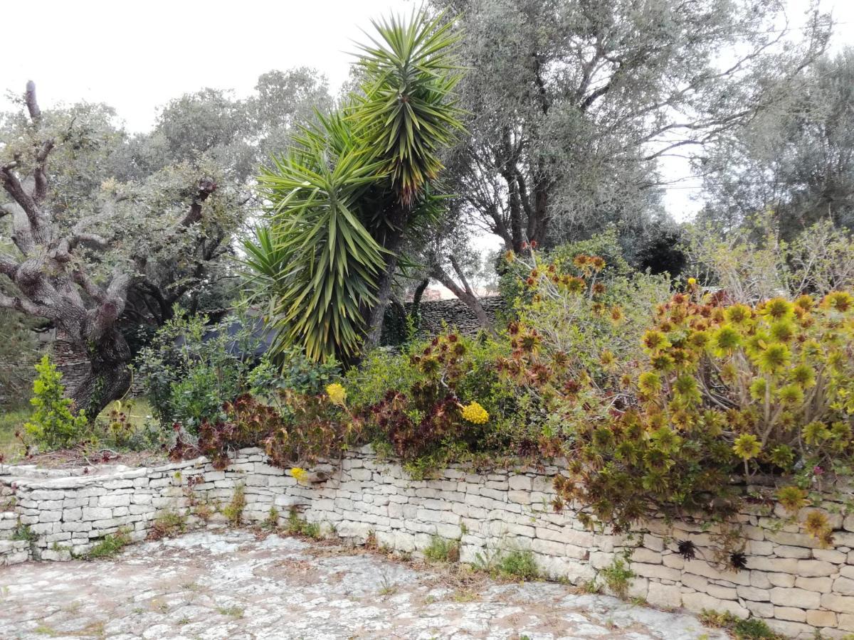 Bonifacio, Maison 90M² Sous Les Oliviers, Vue Sardaigne Бонифачо Экстерьер фото
