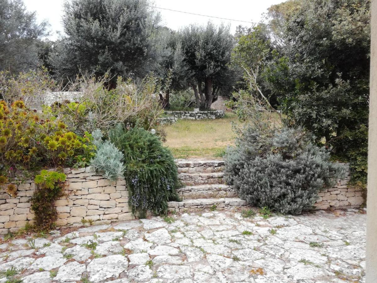 Bonifacio, Maison 90M² Sous Les Oliviers, Vue Sardaigne Бонифачо Экстерьер фото